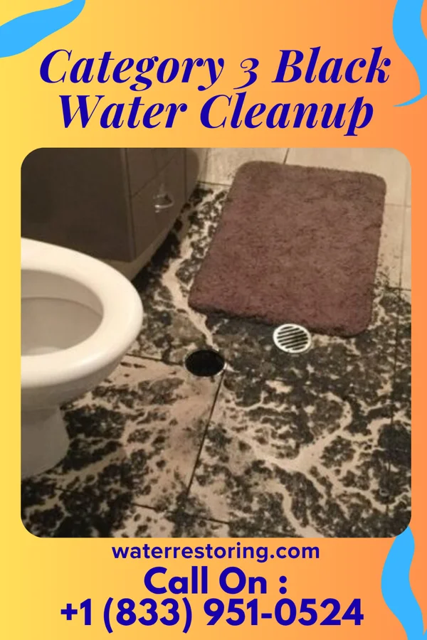 Category 3 Black Water Cleanup in Eagle Nest, NM