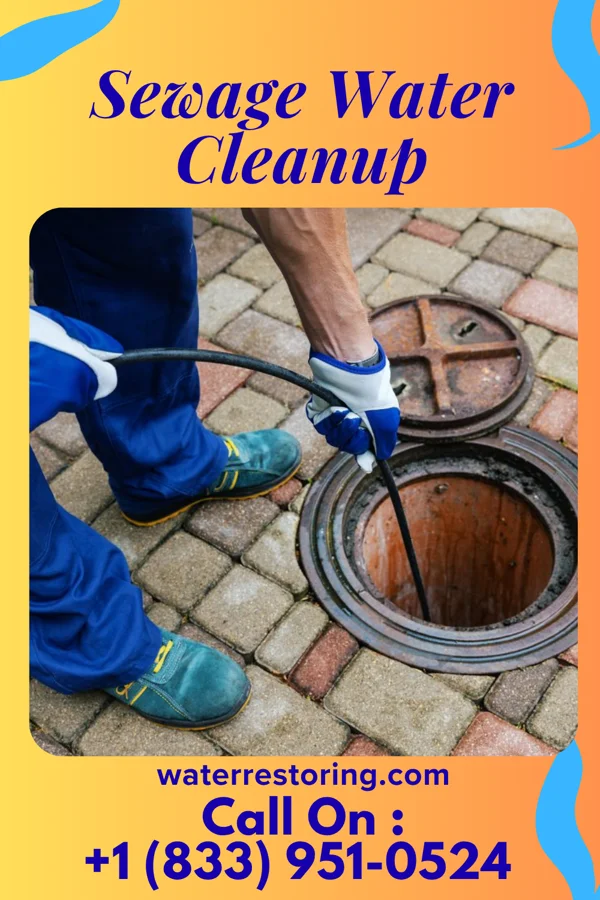 Sewage Water Cleanup in Eagle Nest, NM
